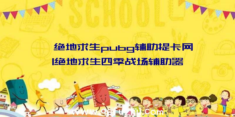 「绝地求生pubg辅助提卡网」|绝地求生四季战场辅助器